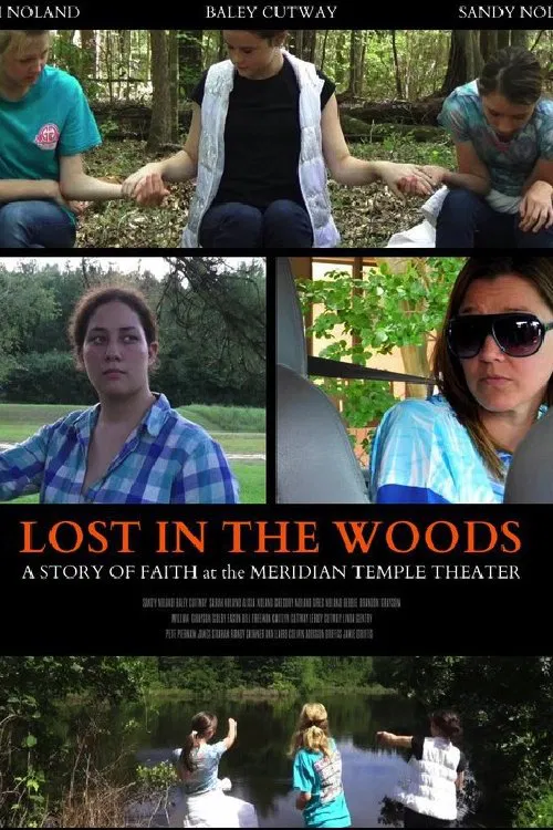 Lost in the Woods movie poster