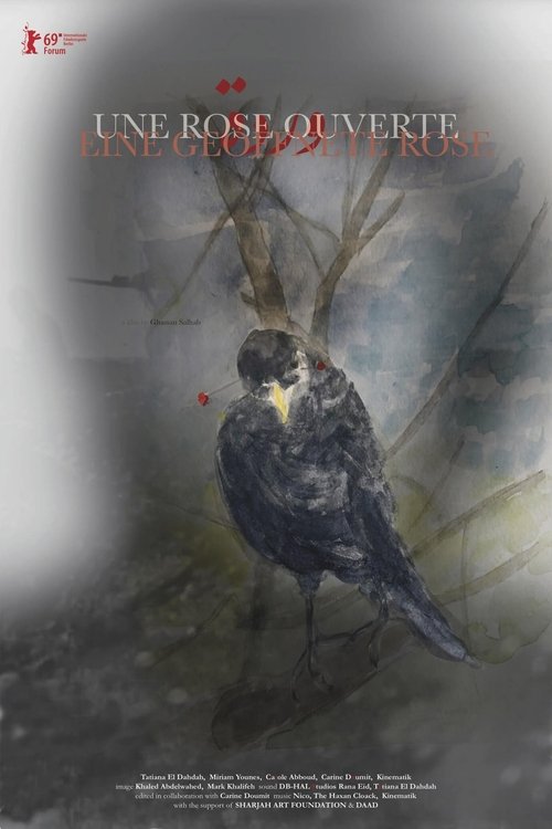 An Open Rose movie poster