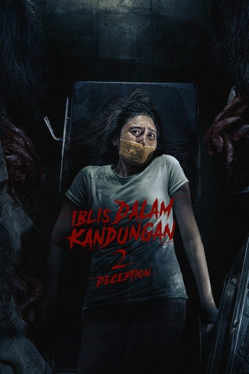 Devil in the Womb 2: Deception movie poster