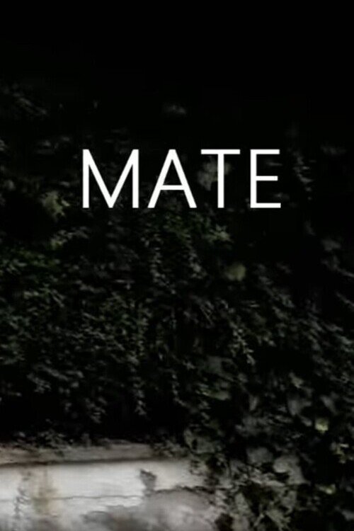 Mate movie poster