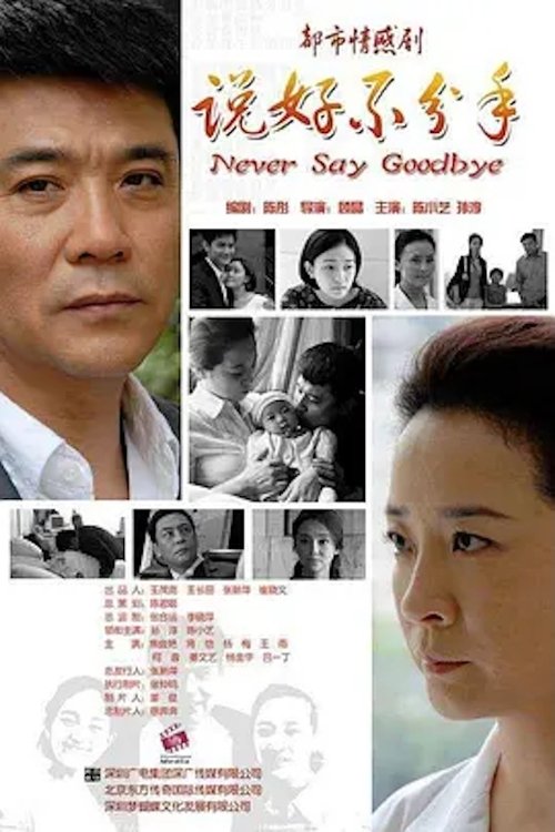 说好不分手 tv show poster