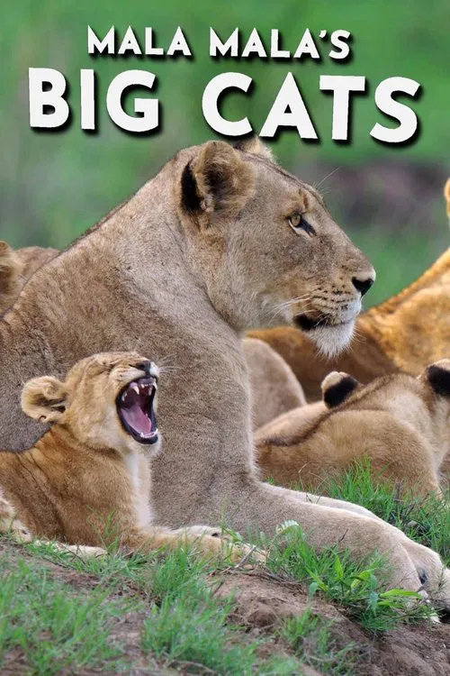 Mala Mala's Big Cats movie poster