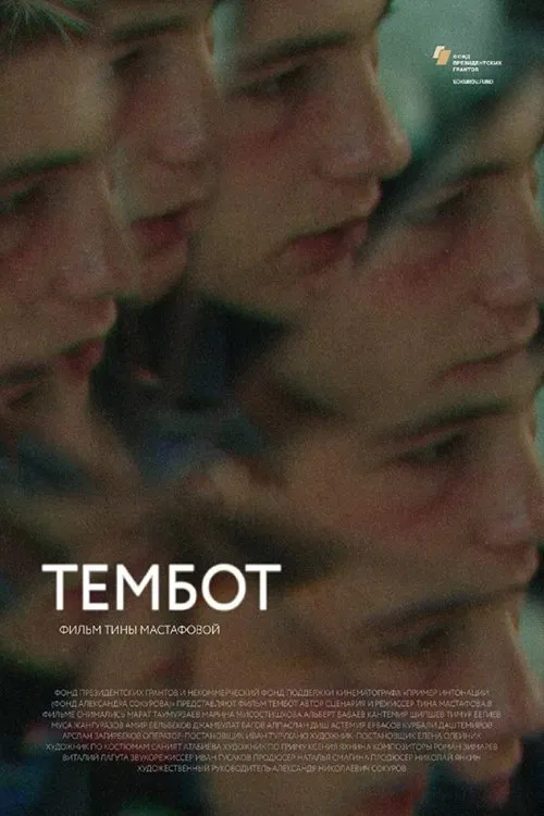 Tembot movie poster
