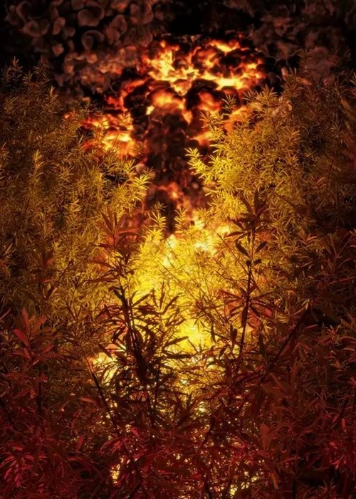 Firewalk movie poster