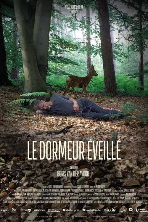 The Wakeful Sleeper movie poster