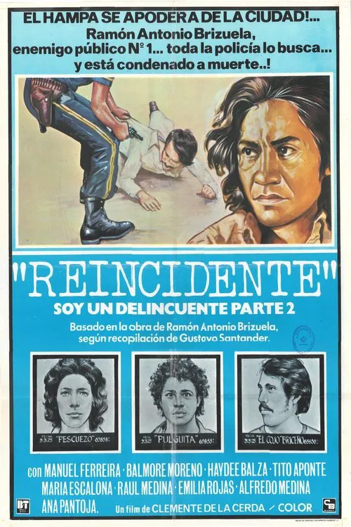 Second Offender movie poster