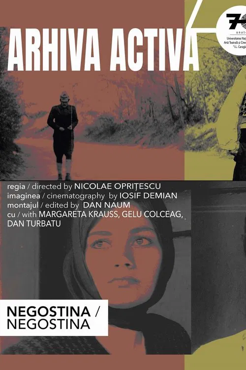Negostina movie poster