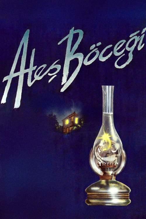 Ateş Böceği movie poster