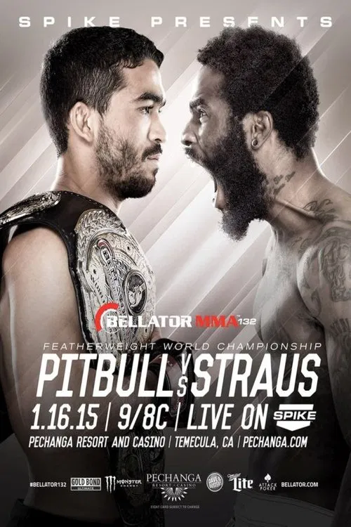 Bellator 132: Pitbull vs. Straus 2 movie poster
