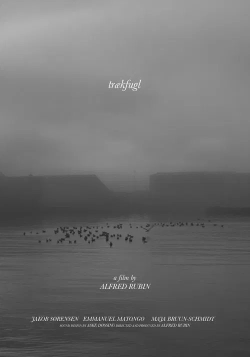 trækfugl movie poster
