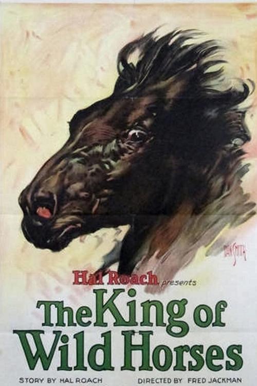 The King of the Wild Horses movie poster