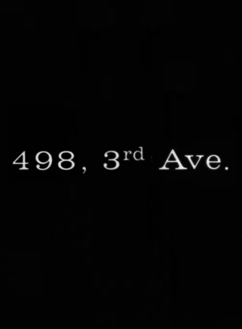 498 Third Avenue movie poster