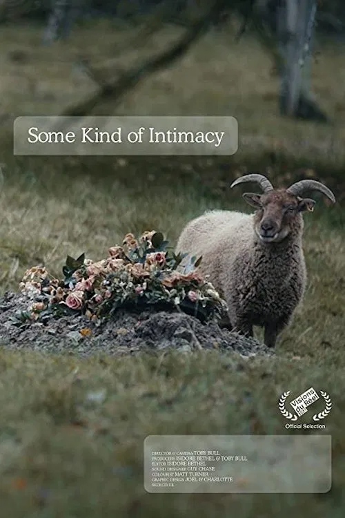Poster do filme Some Kind of Intimacy