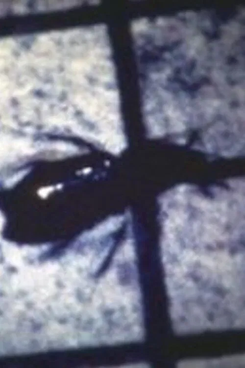 INSECT movie poster