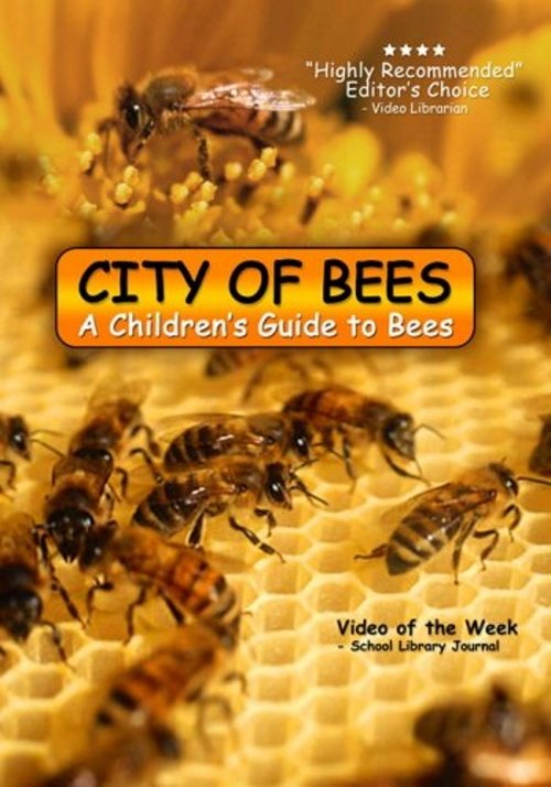City of Bees movie poster