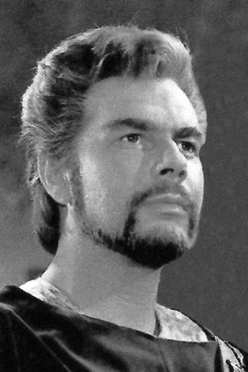 Rolf Henniger profile picture