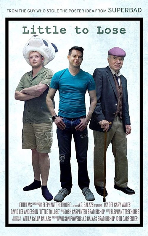 Little To Lose movie poster