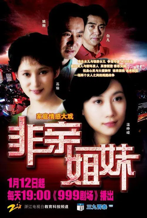 非亲姐妹 tv show poster