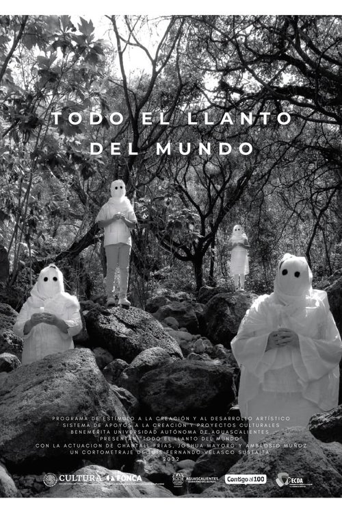 Todo el llanto del mundo movie poster