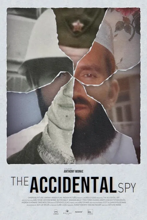 The Accidental Spy movie poster