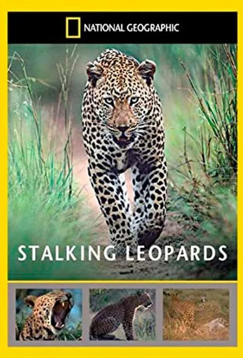 Stalking Leopards movie poster