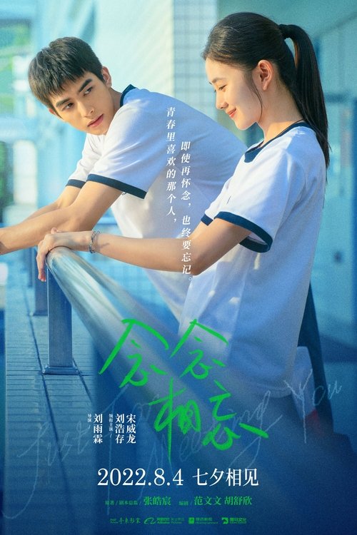 Just For Meeting You movie poster