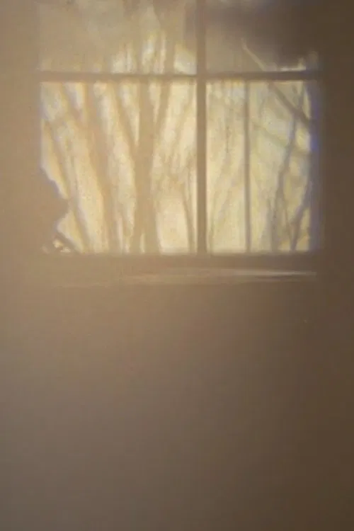 First Law: Quail Ct. movie poster