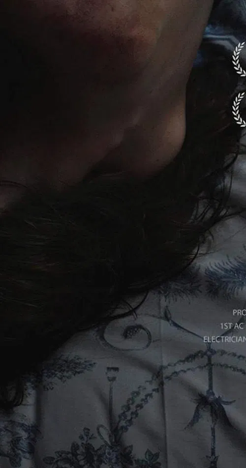Poster do filme ADA
