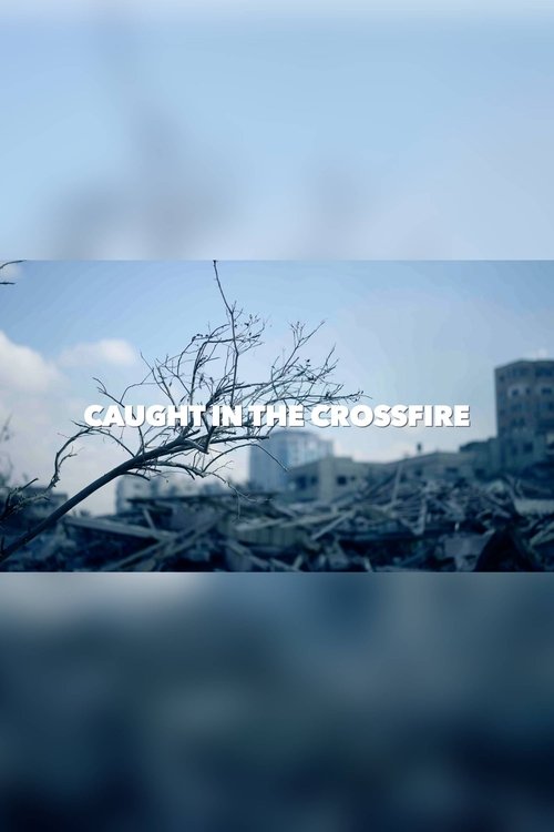 Caught in the crossfire movie poster