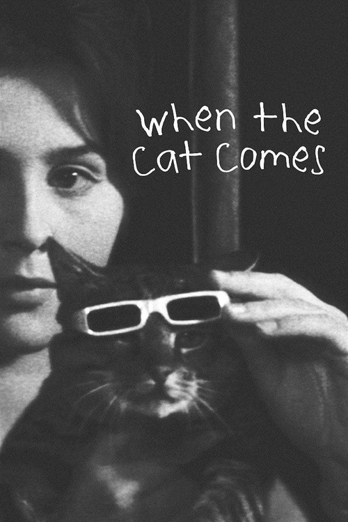 When the Cat Comes movie poster