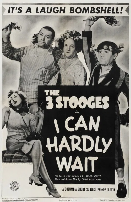 I Can Hardly Wait movie poster