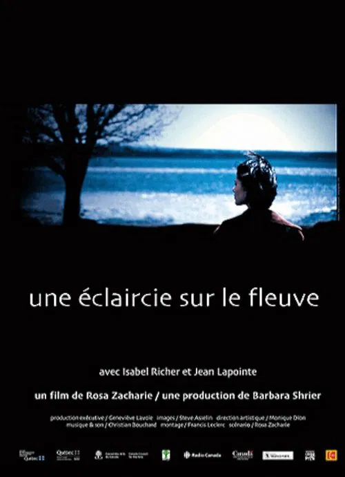 Poster do filme Clearing Skies