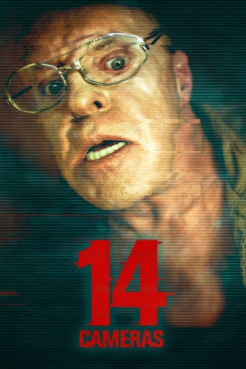14 Cameras movie poster
