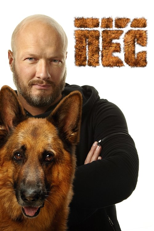 Dog tv show poster
