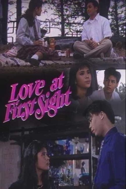 Poster do filme Love at First Sight