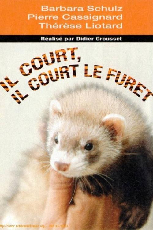 Il court, il court, le furet... movie poster