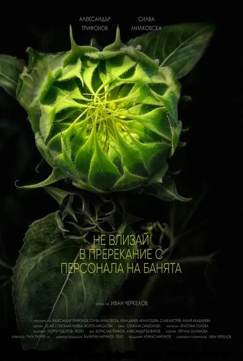 Do Not Argue with the Staff at the Baths movie poster