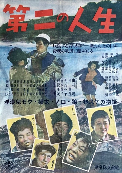 Poster do filme A Second Life