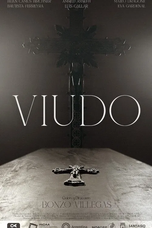 Viudo movie poster