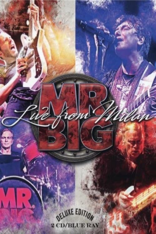 Mr. Big - Live from Milan movie poster