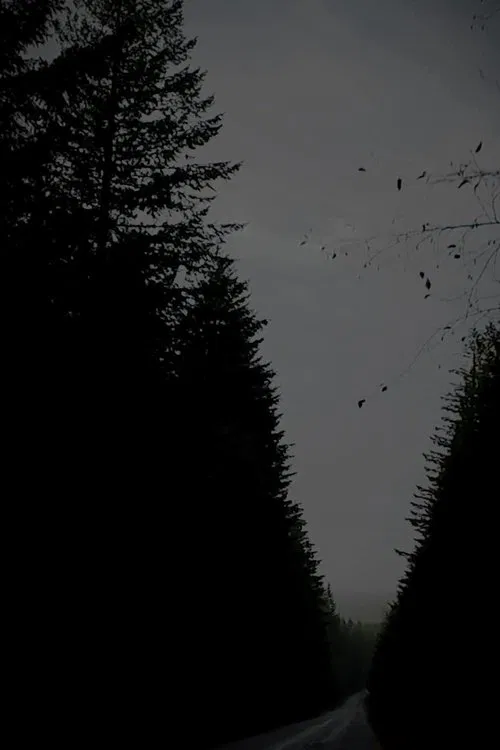 For The Road movie poster