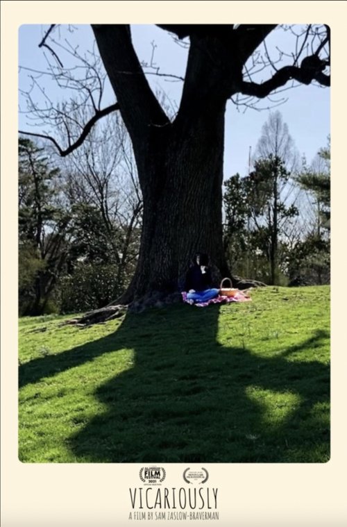 Vicariously movie poster