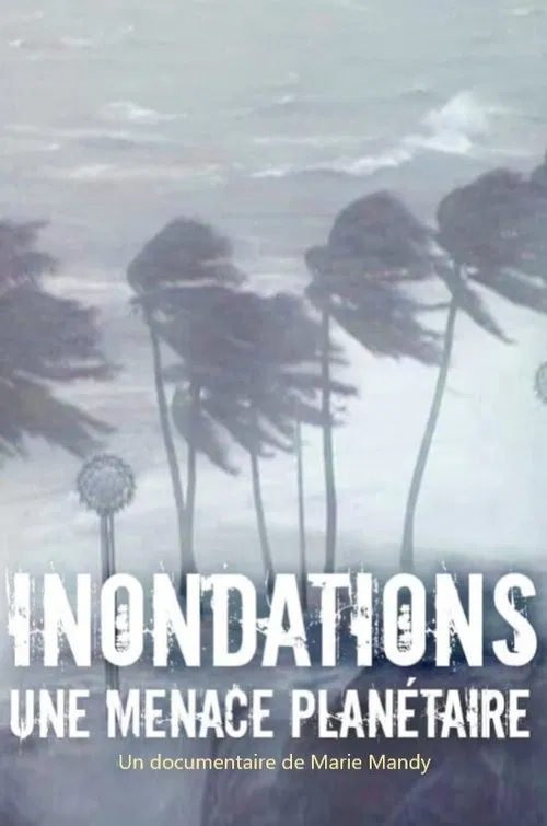 Poster do filme Inondations : une menace planétaire