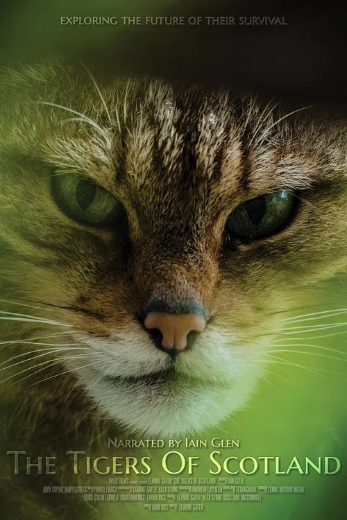 The Tigers of Scotland movie poster