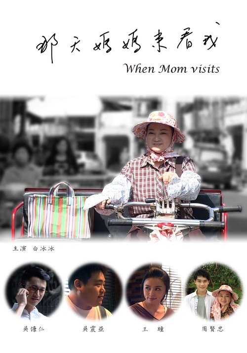 那天媽媽來看我 movie poster