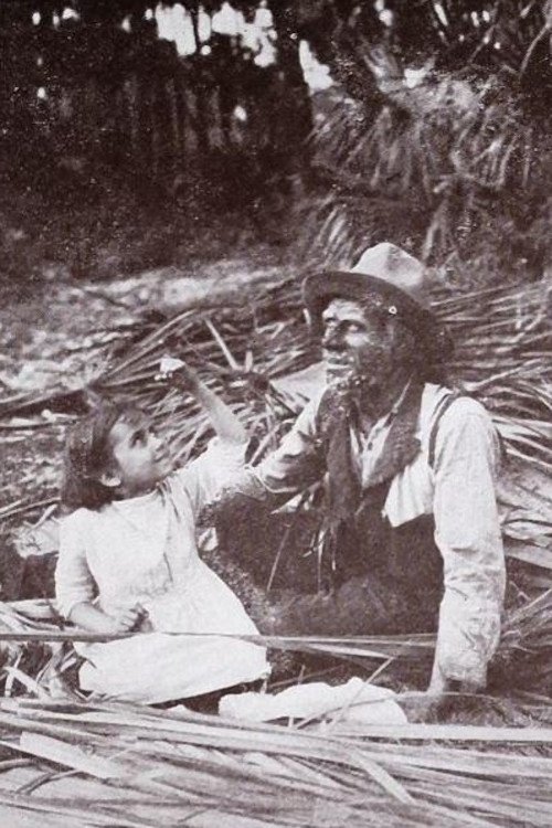 Poster do filme The Message of the Palms
