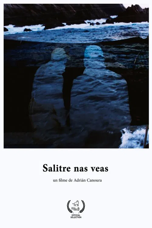Poster do filme Salitre nas veas
