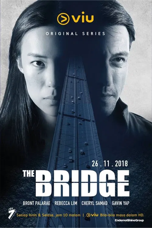 The Bridge tv show poster