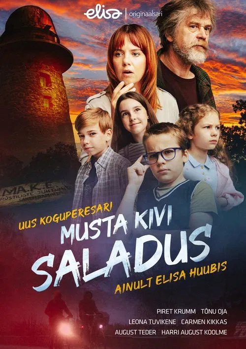 Musta kivi saladus tv show poster