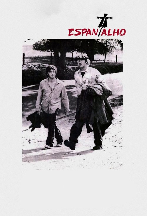 Poster do filme Espantalho